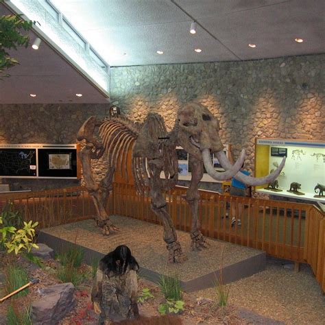 mastodon state park museum